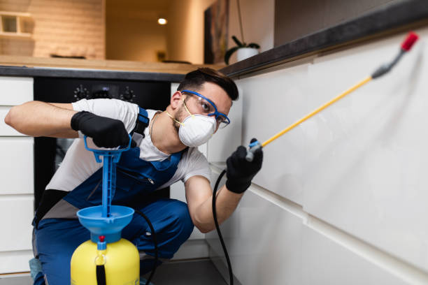 Pest Prevention Services in Darlington, WI