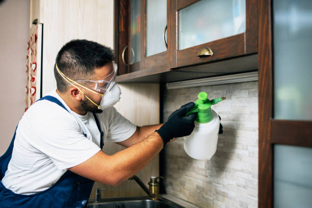 Best Best Pest Control Companies  in Darlington, WI