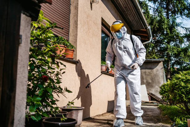 Best Bed Bug Extermination  in Darlington, WI