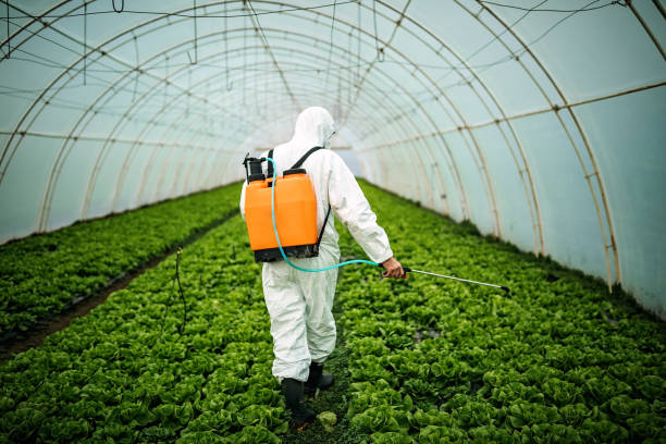 Best Pest Prevention Services  in Darlington, WI