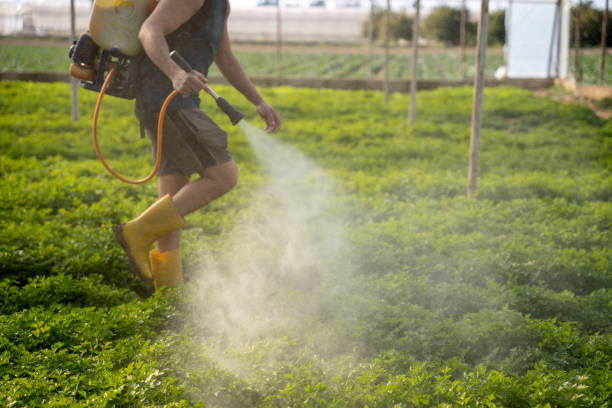 Best Mosquito Control Services  in Darlington, WI