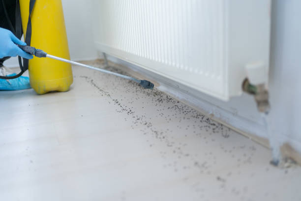 Best Emergency Pest Control  in Darlington, WI