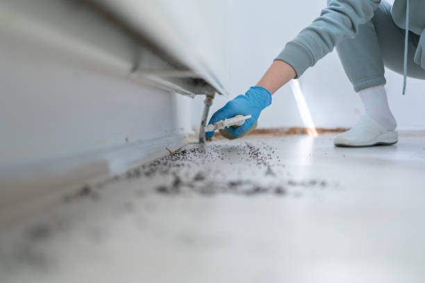Wildlife Control Services in Darlington, WI